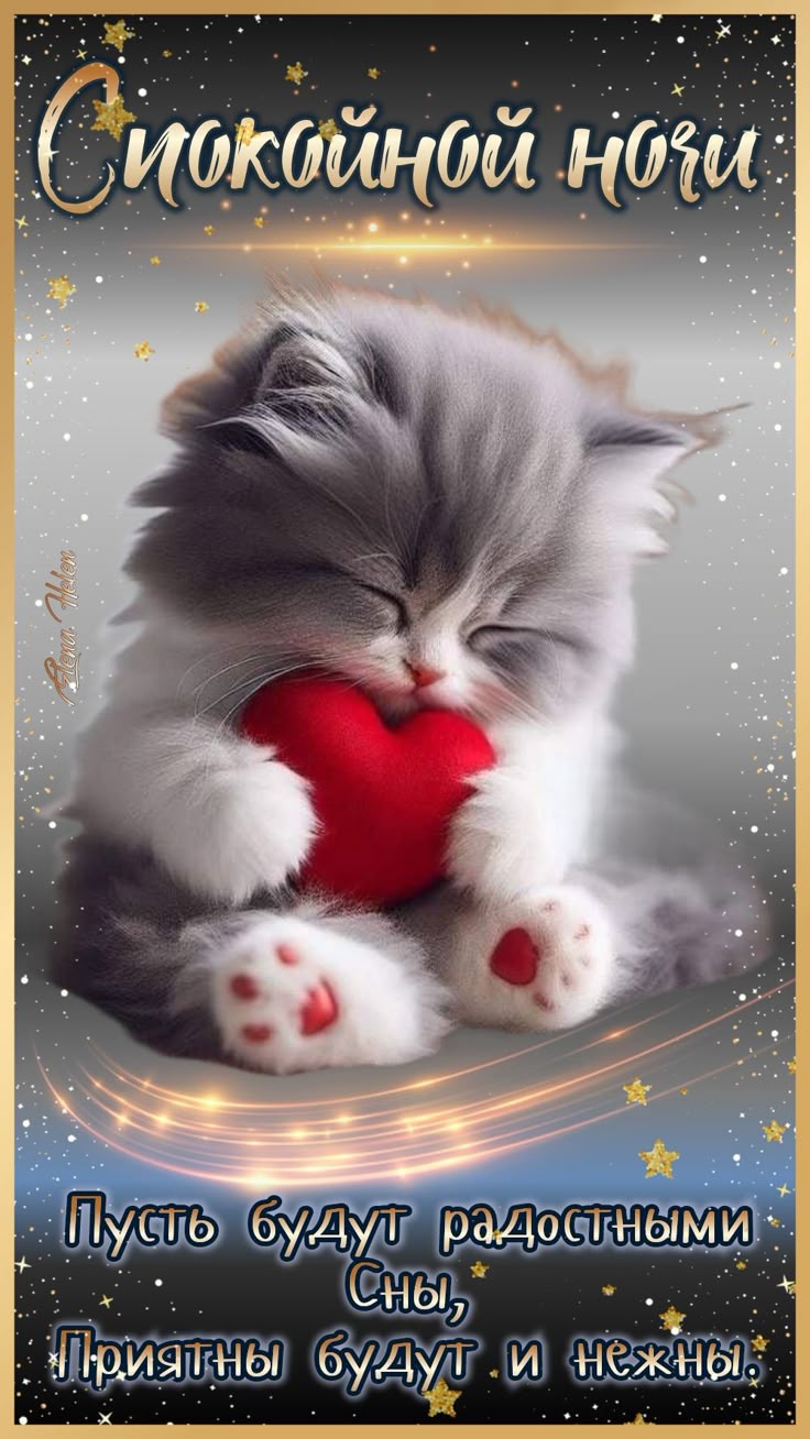 Открытка «Спокойной ночи»: Спокойной ночи: милый кот обнимает сердце. Тэги: Спокойной ночи, с пожеланиями, Спокойной…