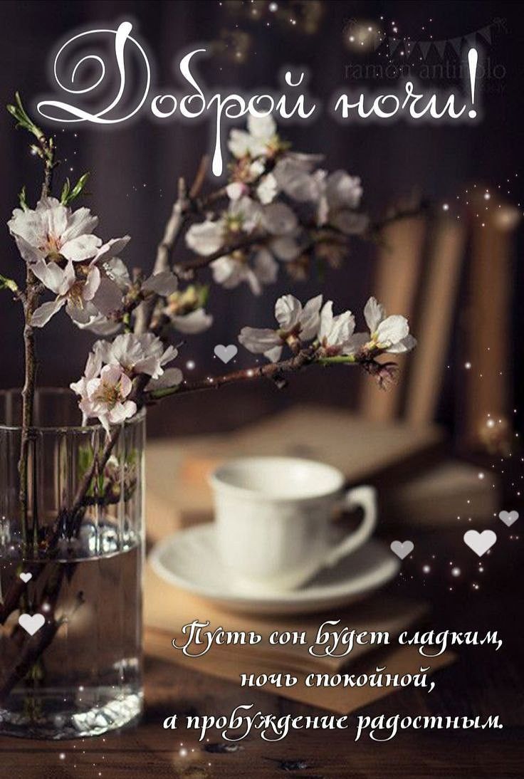Открытка «Доброй ночи»: Доброй ночи: Нежное пожелание сладких снов. Тэги: бодрого утра