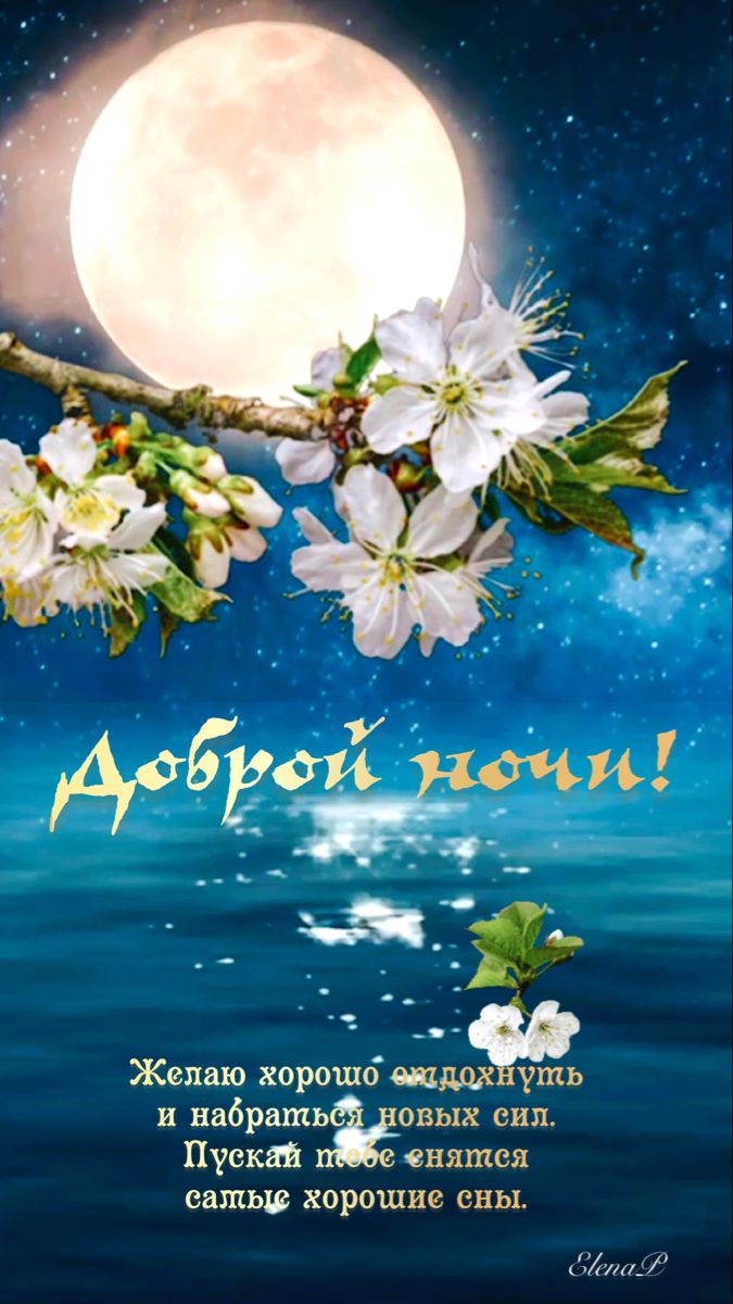 Открытка «Доброй ночи»: Красивая открытка с пожеланием доброй ночи. Тэги: пожелание, красивый, цветок, природа…