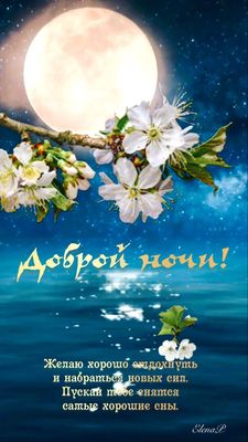Открытка «Доброй ночи»: Красивая открытка с пожеланием доброй ночи.