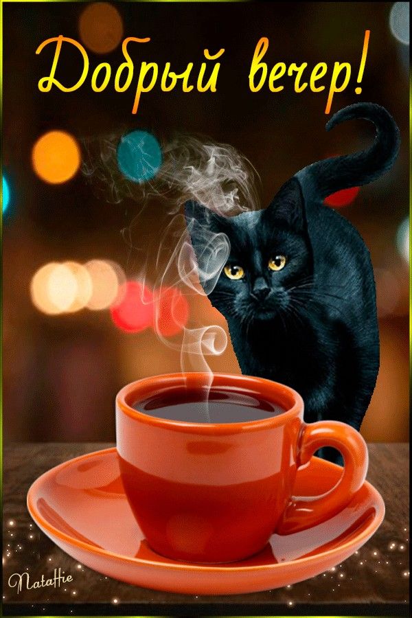Открытка «Добрый вечер и пожелания»: Добрый вечер: «Милый черный кот и ароматный кофе». Тэги: Добрый вечер, с котиками…