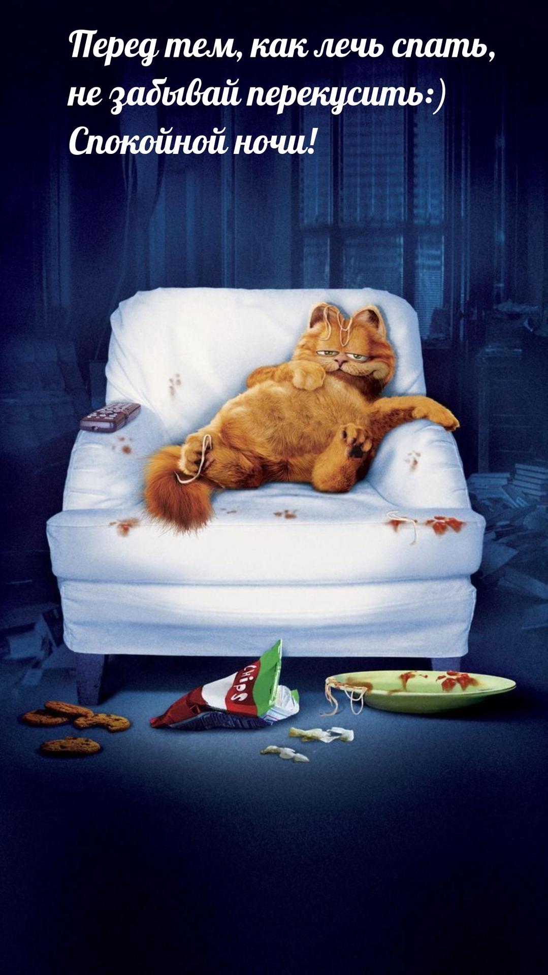 Открытка «Спокойной ночи»: Спокойной ночи: Кот перекусил перед сном. Тэги: Спокойной ночи, с пожеланиями, Спокойной н…