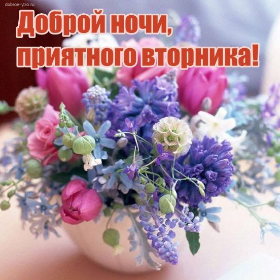 Открытка «Доброй ночи»: Доброй ночи: красивый букет на вторник.