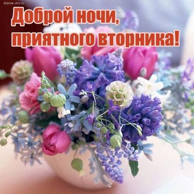 Открытка «Доброй ночи»: Доброй ночи: красивый букет на вторник.