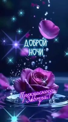 Открытка «Доброй ночи»: Доброй ночи: Красивый пожелание с фиолетовой розой. Тэги: забытье