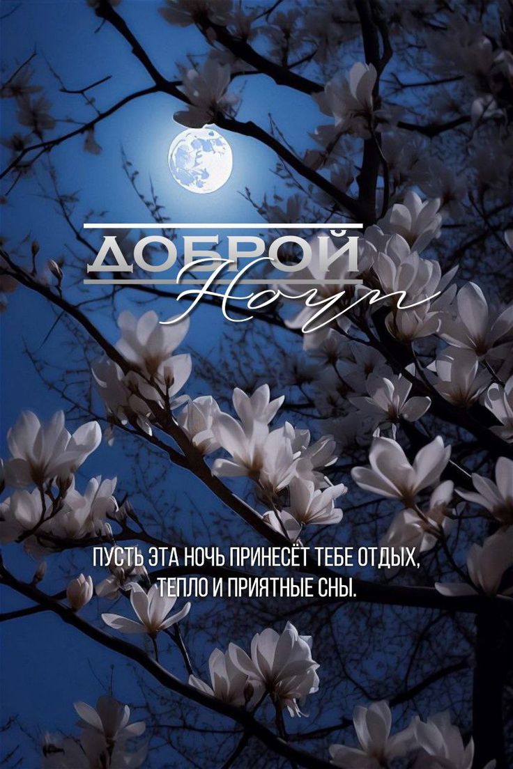 Открытка «Доброй ночи»: Магнолии и луна: пожелание доброй ночи. Тэги: пожелание, надпись, красивый, отдых, цветок…