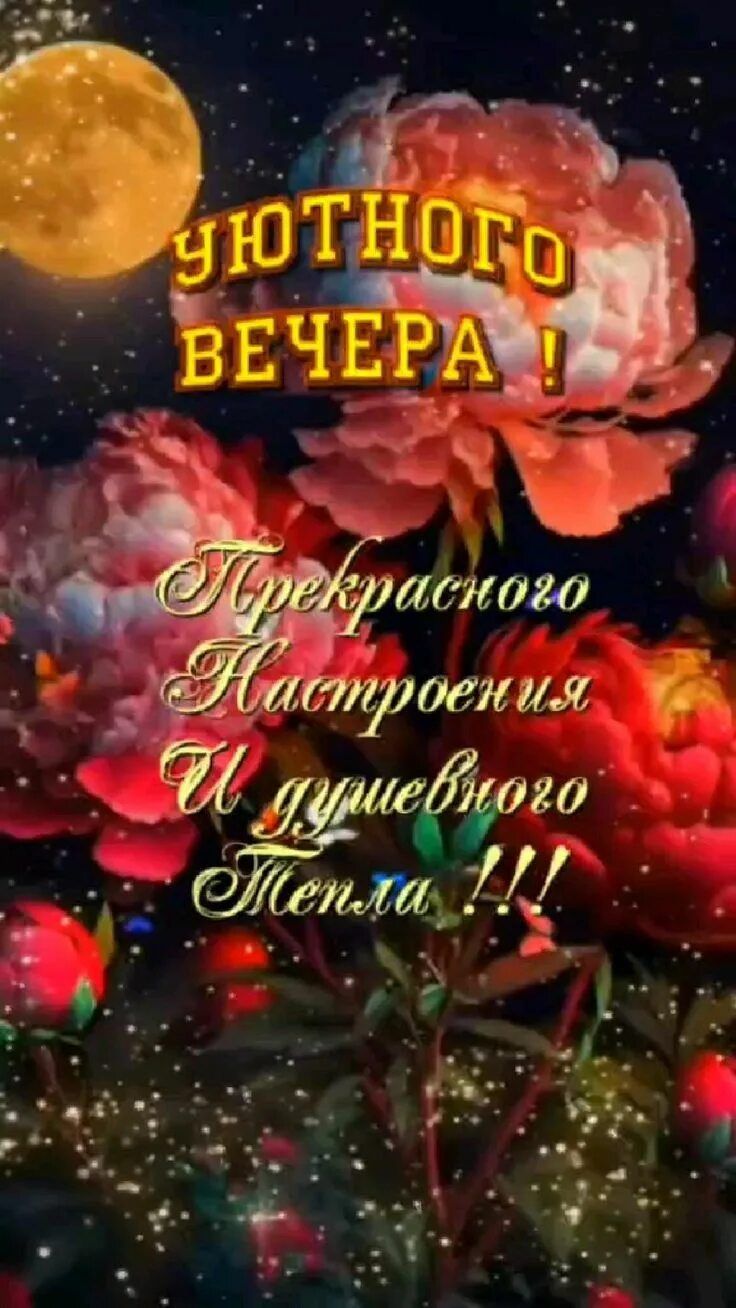 Открытка «Пожелание»: Открытка «Уютного вечера» с цветами. Тэги: отличный, настроение, прекрасный, красивый, роза…