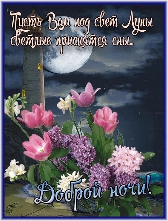 Открытка «Доброй ночи»: Доброй ночи: «Светлые сны под Луной».
