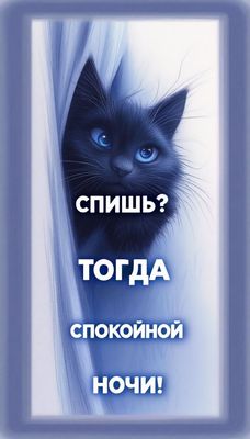 Открытка «Спокойной ночи»: Открытка спокойной ночи: «Спишь?» черный кот. Тэги: пожелание, смешной, кот, надпись, милый…