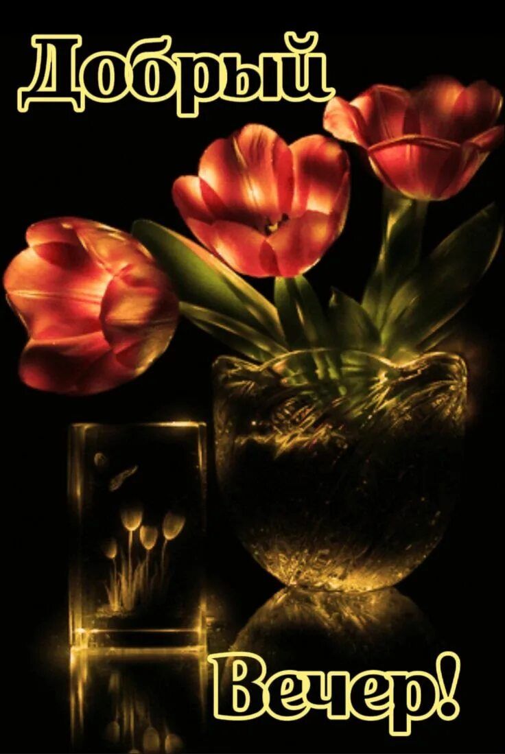 Открытка «Добрый вечер и пожелания»: Добрый вечер: Красивый букет тюльпанов. Тэги: Добрый вечер красивые, Доброго веч…