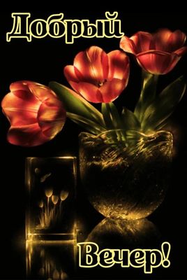Открытка «Добрый вечер и пожелания»: Добрый вечер: Красивый букет тюльпанов. Тэги: Добрый вечер красивые, Доброго веч…