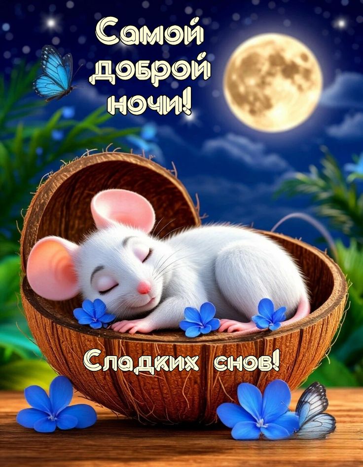 Открытка «Доброй ночи»: Самой доброй ночи: «Милый мышонок» спит в кокосе. Тэги: Спокойной ночи, Спокойной ночи…