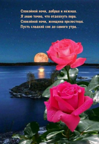 Открытка «Спокойной ночи»: Спокойной ночи: нежное пожелание с розами. Тэги: Спокойной ночи, красивые, Спокойной ночи…
