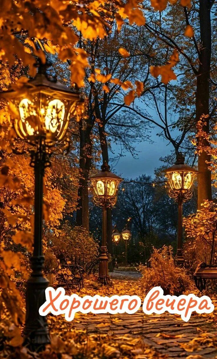 Открытка «Добрый вечер и пожелания»: Хорошего вечера: «Уютная осень» с фонарями. Тэги: Добрый вечер красивые, Доброго…