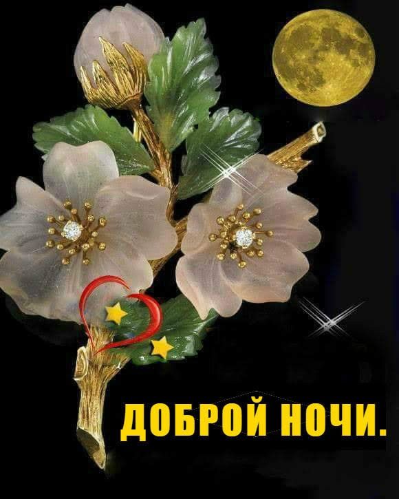 Открытка «Доброй ночи»: Доброй ночи: Изысканная открытка с цветами и луной. Тэги: пожелание, сердце, красивый, цветок…