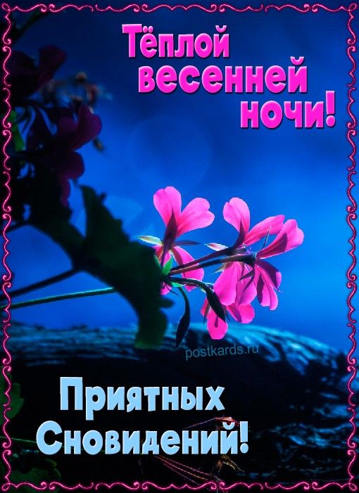 Открытка «Доброй ночи»: Доброй ночи! Открытка с приятными сновидениями. Тэги: пожелание, настроение, красивый, отдых…