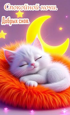 Открытка «Спокойной ночи»: Спокойной ночи: милый белый котенок и луна. Тэги: Спокойной ночи, с пожеланиями, Спокойной…