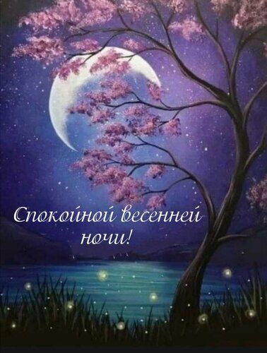 Открытка «Спокойной ночи»: Спокойной ночи: весенний пейзаж с цветущей сакурой. Тэги: Спокойной ночи, красивые, Спокой…