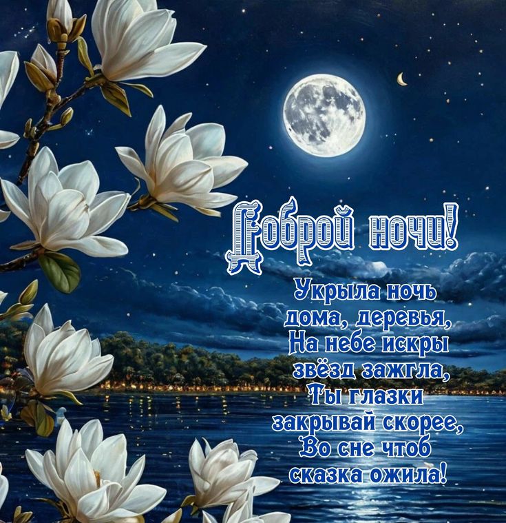 Открытка «Доброй ночи»: Доброй ночи! Красивая открытка с луной, звездами и цветами.