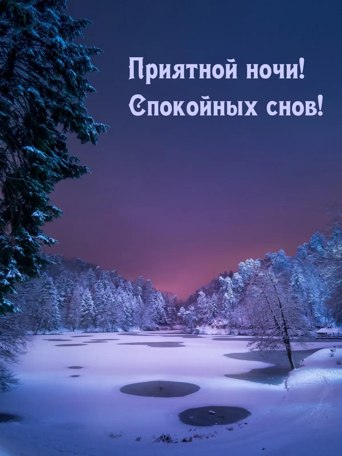 Открытка «Спокойной ночи»: Спокойной ночи: Ночной зимний пейзаж заснеженного леса. Тэги: Спокойной ночи, красивые…