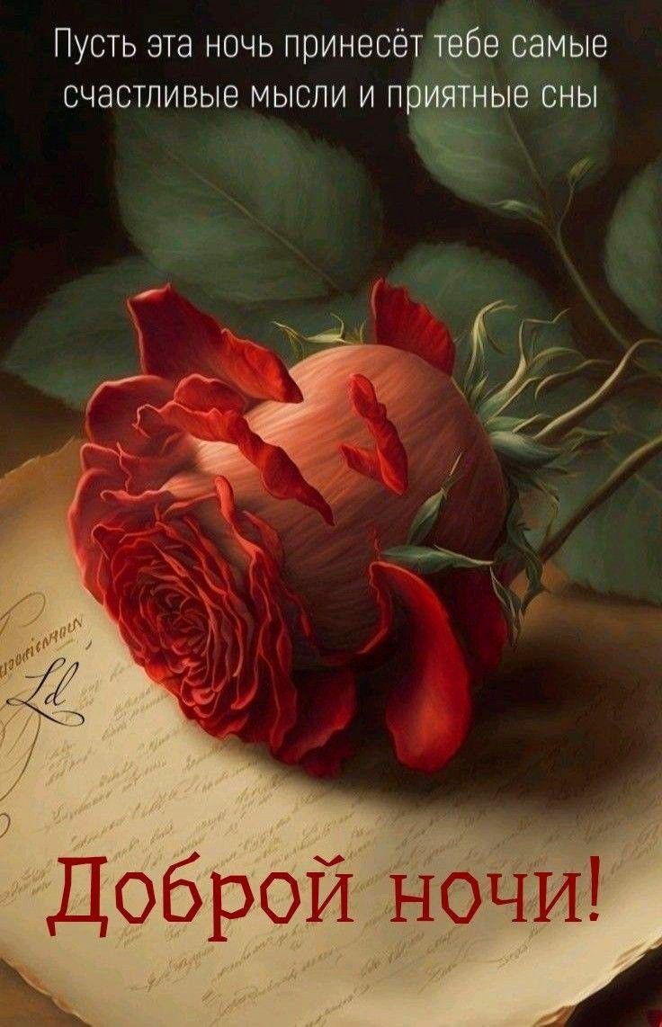 Открытка «Доброй ночи»: Доброй ночи: красивая красная роза на старинном письме. Тэги: проза, старинный
