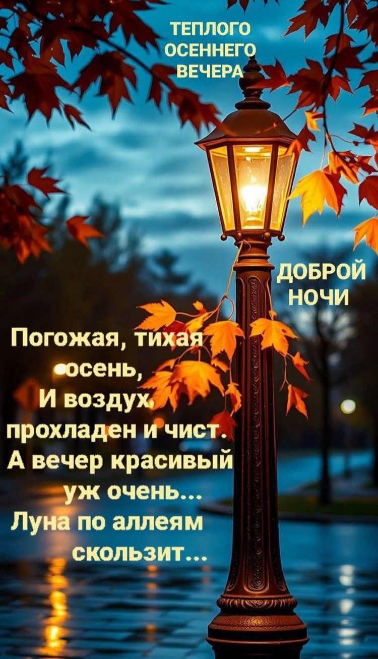 Открытка «Доброй ночи»: Доброй ночи: Стихи про красивый осенний вечер. Тэги: чистый, тихий, прохладный