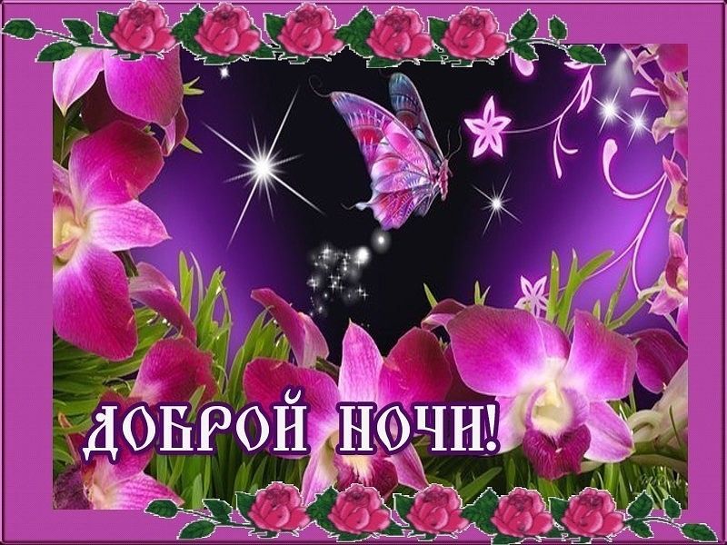 Открытка «Доброй ночи»: Доброй ночи: волшебная открытка с бабочкой и цветами.