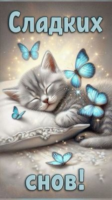 Открытка «Доброй ночи»: Доброй ночи: милый котенок и голубые бабочки. Тэги: Спокойной ночи, Спокойной ночи, с пожелан…