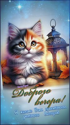 Открытка «Добрый вечер и пожелания»: Доброго вечера! Милый котенок с фонариком. Тэги: Добрый вечер красивые, Добрый в…