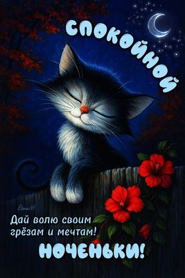 Открытка «Спокойной ночи»: Спокойной ночи: милый кот и красные цветы. Тэги: Спокойной ночи, милые, Спокойной ночи…
