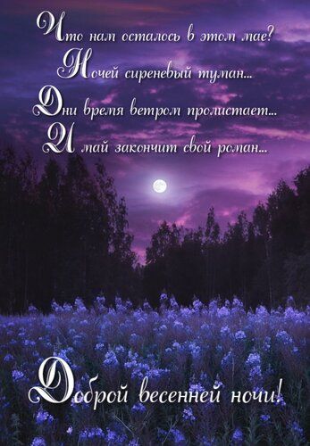Открытка «Доброй ночи»: Доброй ночи: Стихи о сиреневом тумане и луне.
