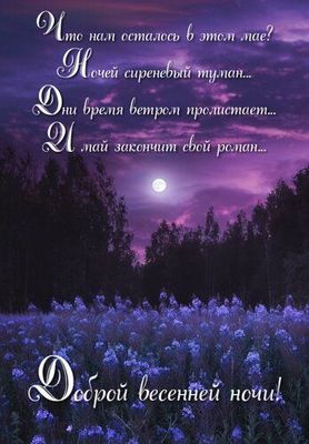 Открытка «Доброй ночи»: Доброй ночи: Стихи о сиреневом тумане и луне.