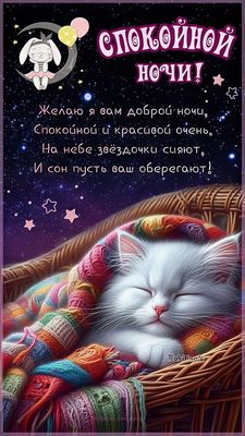 Открытка «Доброй ночи»: Спокойной ночи: милый кот и звездное небо. Тэги: Спокойной ночи, Спокойной ночи, красивые…
