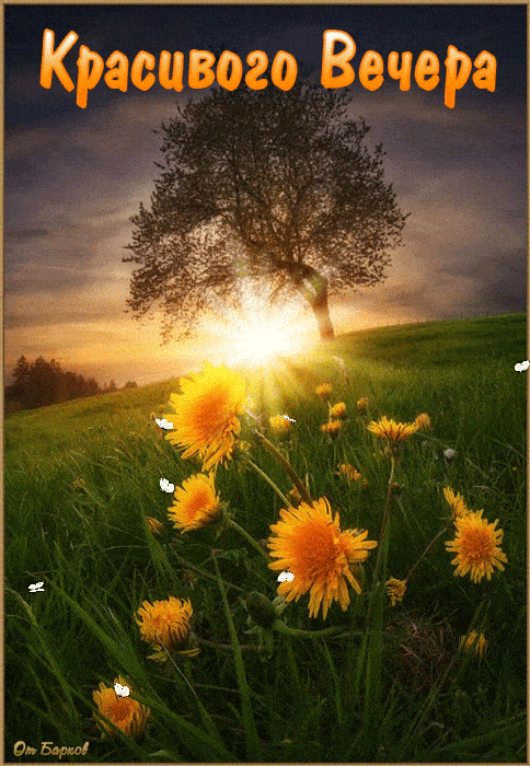 Открытка «Добрый вечер и пожелания»: Красивого вечера: пейзаж с одуванчиками на холме. Тэги: Добрый вечер красивые…