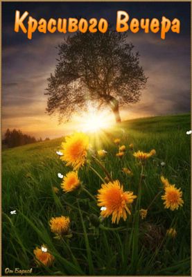 Открытка «Добрый вечер и пожелания»: Красивого вечера: пейзаж с одуванчиками на холме. Тэги: Добрый вечер красивые…