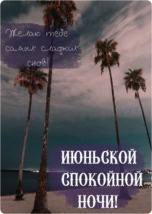 Открытка «Спокойной ночи»: Открытка в июне: спокойной ночи под пальмами. Тэги: Спокойной ночи, красивые, Спокойной но…