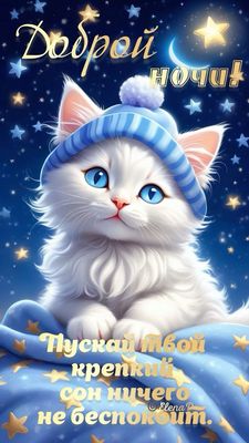 Открытка «Доброй ночи»: Доброй ночи: милый кот в шапке под луной. Тэги: Спокойной ночи, Спокойной ночи, с пожеланиями…