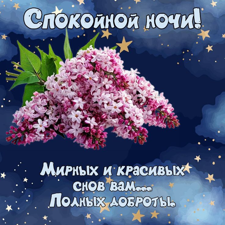 Открытка «Спокойной ночи»: Спокойной ночи: нежный букет сирени и звезды. Тэги: Спокойной ночи, красивые, Спокойной но…