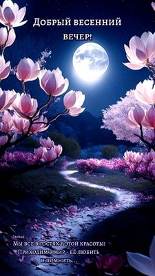 Открытка «Добрый вечер и пожелания»: Добрый вечер: весенняя магнолия под луной. Тэги: Добрый вечер красивые, С добрым…