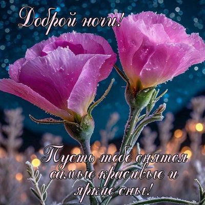 Открытка «Доброй ночи»: Доброй ночи: Красивые цветы и яркие сны.