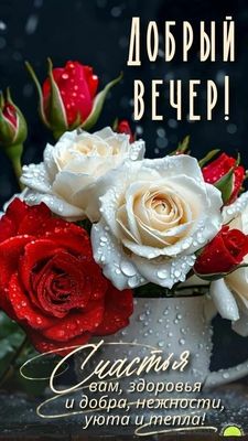 Открытка «Проза»: Добрый вечер: пожелание с красивыми розами. Тэги: Добрый вечер и пожелания, Добрый вечер красивые…