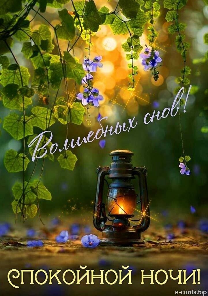 Открытка «Спокойной ночи»: Спокойной ночи: «Волшебных снов!» с фонарем. Тэги: Спокойной ночи, красивые, Спокойной ночи…