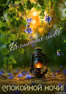 Открытка «Спокойной ночи»: Спокойной ночи: «Волшебных снов!» с фонарем. Тэги: Спокойной ночи, красивые, Спокойной ночи…