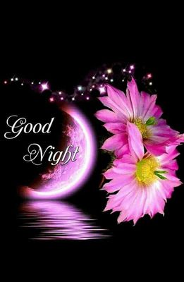 Открытка «Доброй ночи»: Доброй ночи: красивая открытка с цветами и луной.
