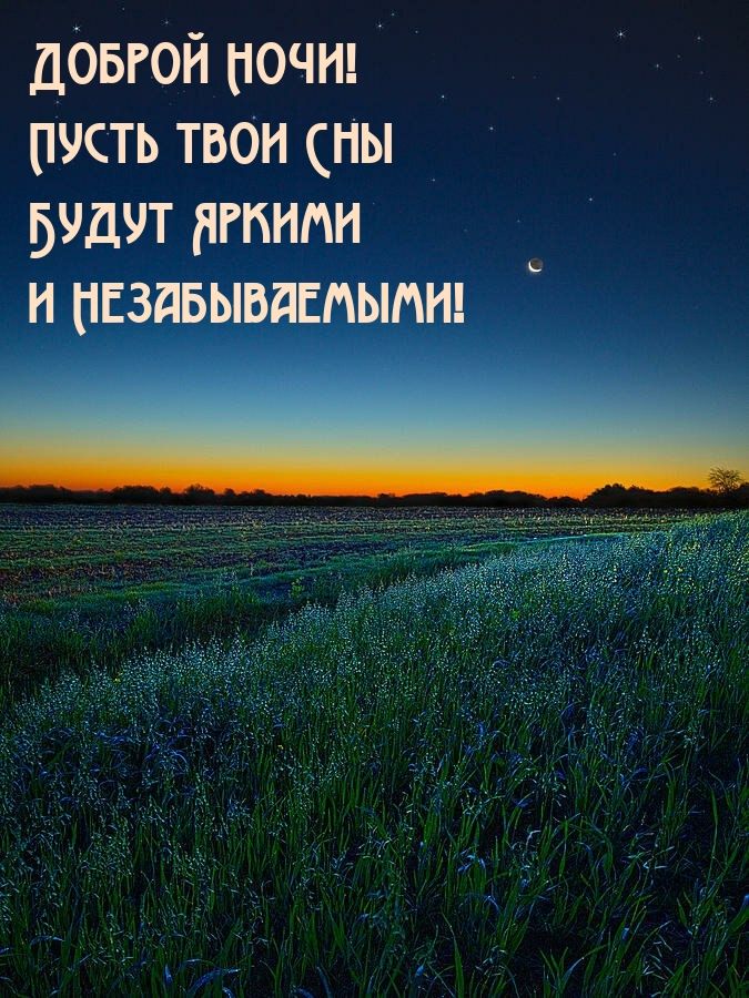 Открытка «Доброй ночи»: Доброй ночи: Пожелание ярких и незабываемых снов.