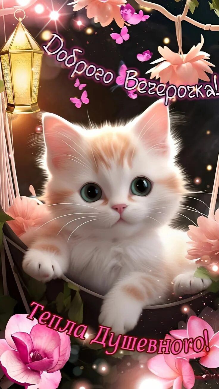 Открытка «Добрый вечер и пожелания»: Добрый вечер: «Милый кот» среди ночных цветов. Тэги: Добрый вечер, с котиками…