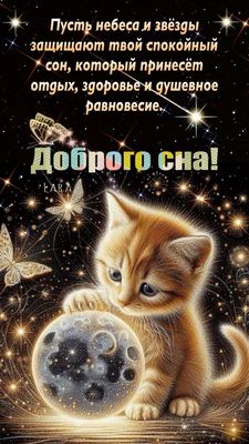 Открытка «Доброй ночи»: Доброй ночи: Милый котенок и волшебные звезды.