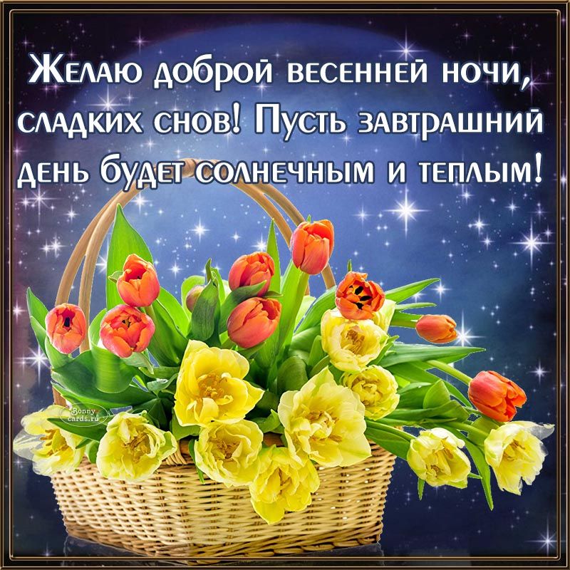 Открытка «Доброй ночи»: Доброй ночи: весенний букет тюльпанов.