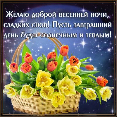 Открытка «Доброй ночи»: Доброй ночи: весенний букет тюльпанов.