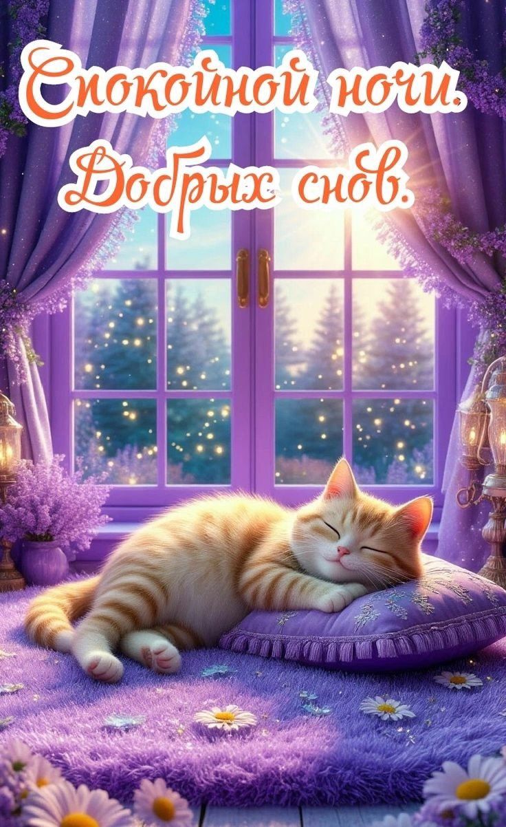 Открытка «Доброй ночи»: Спокойной ночи и добрых снов: Кот и лаванда.